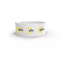 mockup-1771523395090-0-0.jpg?