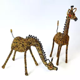 Giraffes 2.jpg