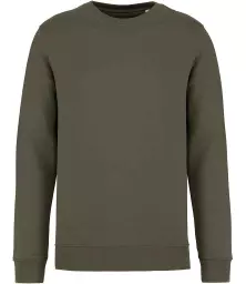 NS400%20ORK%20FRONT.jpg?