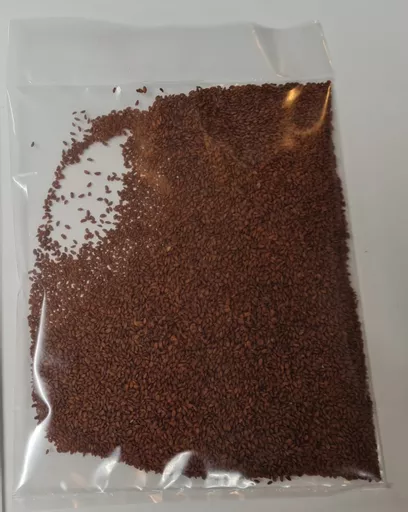 cress-seeds-scaled.jpg