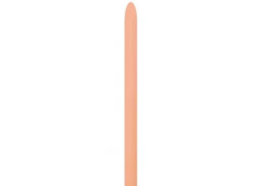 IT372607_1.jpg