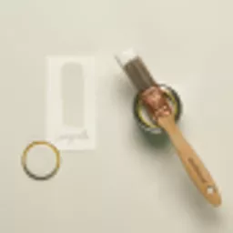 seagull samples.webp