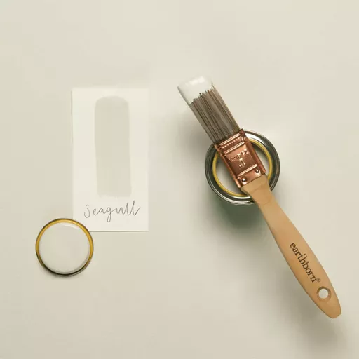 seagull samples.webp