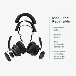 51-FgMXNXlL._AC_SX466_.jpg?