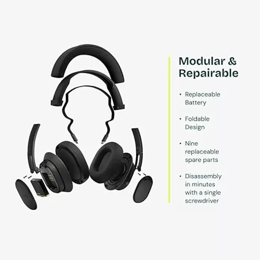 51-FgMXNXlL._AC_SX466_.jpg?