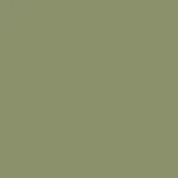 olive.jpg