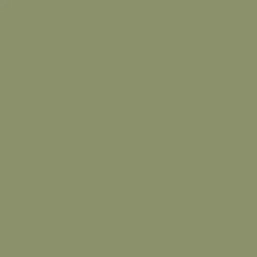 olive.jpg