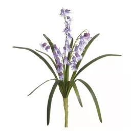 bluebell bush.jpg