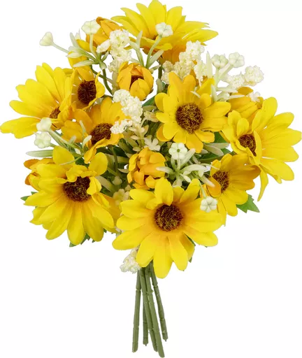 IT393818.jpg