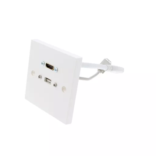 HDMI v2.0 & USB A Wall Plate