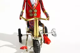 Duck on a Bike 3.jpg
