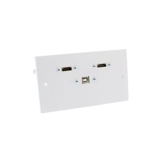 Double Gang  2 x HDMI & USB-B Wall Plate (Fly lead couplers)
