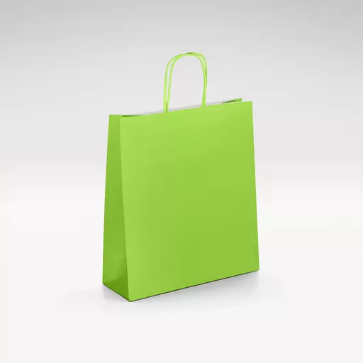 White-kraft-lime-twist-bag-Small.jpg