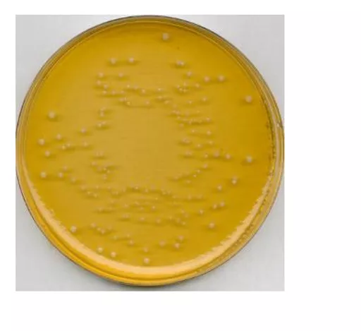 164974994144e50d6e5cac4b031af707cc495345b7.PNG?