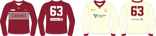 Reversible cricket Jumper.png