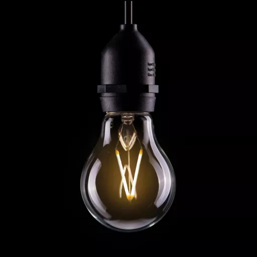 Prolite 2W Dimmable LED Filament GLS Poly 2700K BC