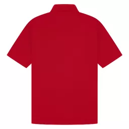 CasualClassics_ClassicRingspun190RegularFitPoloUnisexC101_Red_Back.png