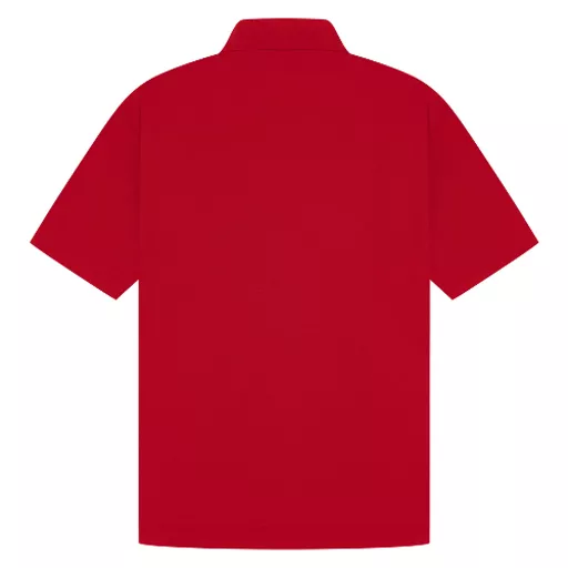 CasualClassics_ClassicRingspun190RegularFitPoloUnisexC101_Red_Back.png