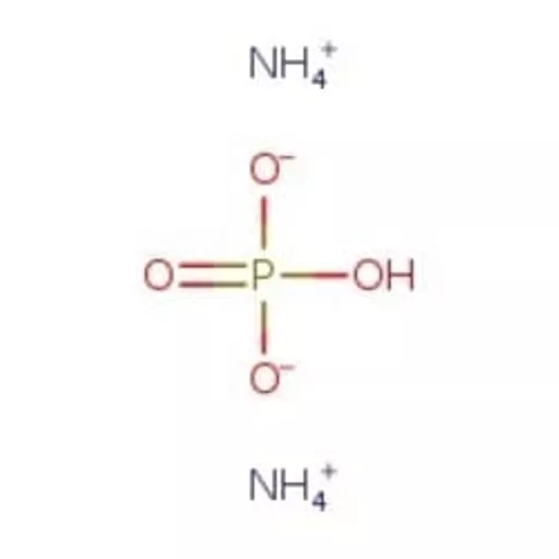 1770207280005475cbab52873c6dac804d365a966e.png?