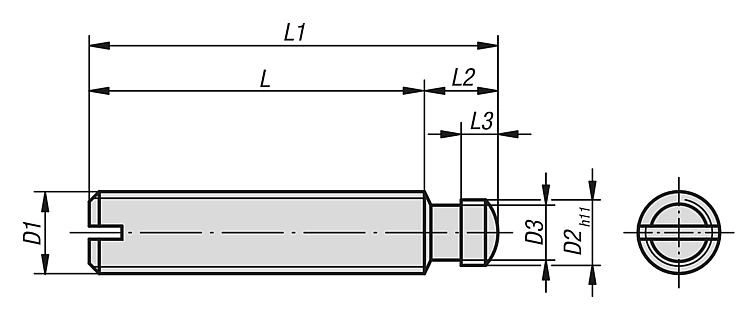 Grub Screw With Thrust Point. M14x88mm Thread. Stainless Steel.
