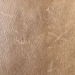 1745663319-25247000.jpg?