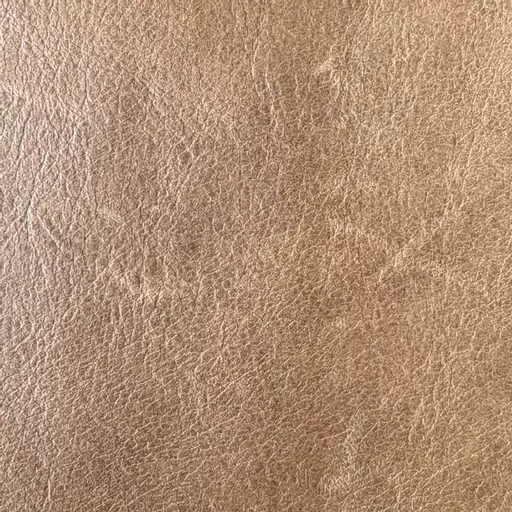 1745663319-25247000.jpg?