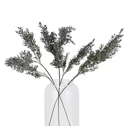 Screenshot 2026-01-28 at 11.21.24.jpg