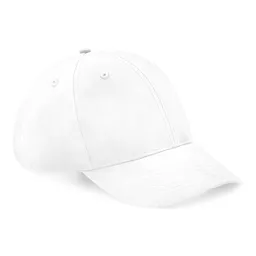 Recycled Pro-Style Cap