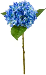 IT393808.jpg