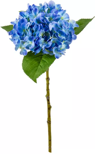 IT393808.jpg