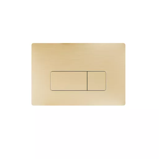 Pneumatic Push Plate / Flush Plate - Brushed Brass