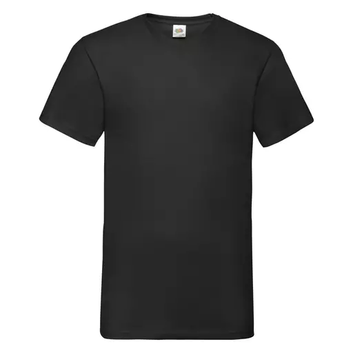Men's Valueweight V-Neck T-Shirt