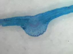 807960.jpg