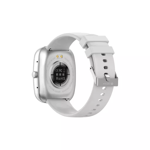 DEV-WT5-SW-SLV4 (Copy).png