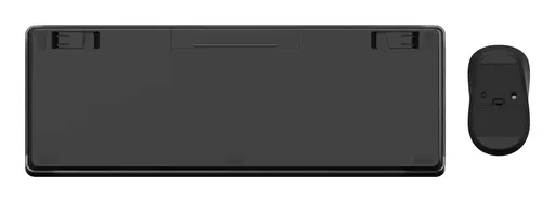 EY-8vGr1F0OCnncill5eZg.c-r.jpg?