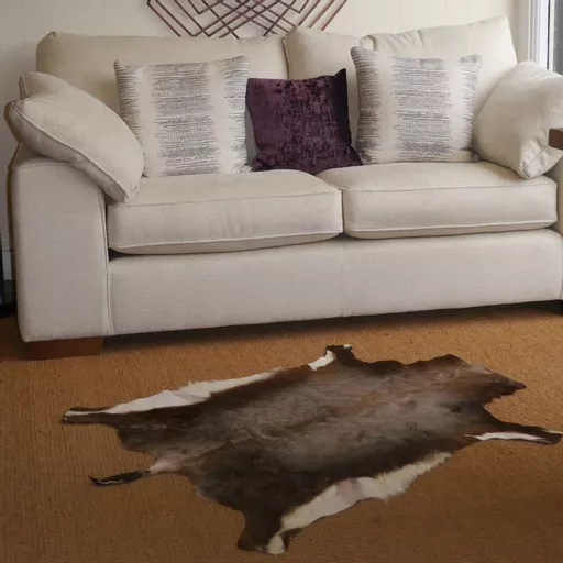 Springbok Deer Hide Rug