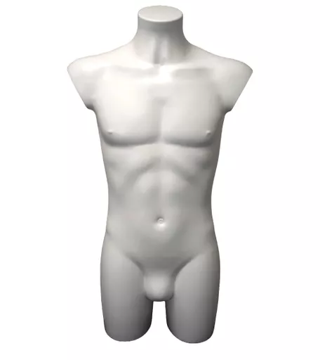 White Body Form Male Energy Bust