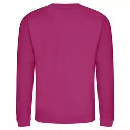 AWD_JH030JH30_FestivalFuchsia_Back.png