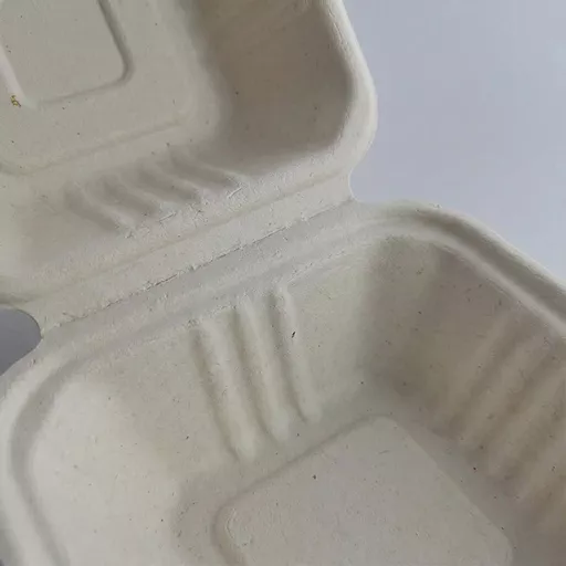 _0000s_0000_6 x 6_ Bagasse Burger Box.jpg
