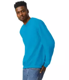 GD56%20SAP%20MODEL%203.jpg?