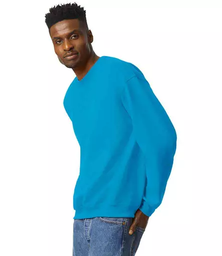 GD56%20SAP%20MODEL%203.jpg?