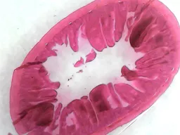 807190.jpg