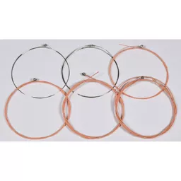 1705062491-00689900.jpg?