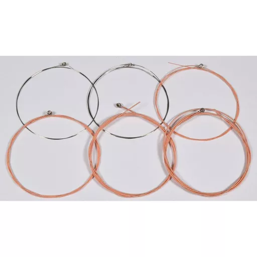 Chord Acoustic Guitar Strings 12-54