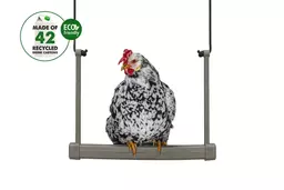 Gaun Chicken Swing 4.jpg