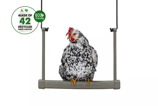 Gaun Chicken Swing 4.jpg