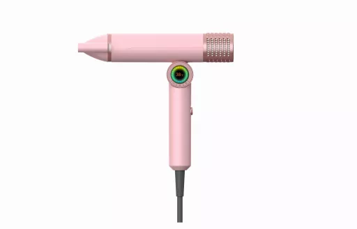 Phil Smith BLDC Hair Dryer