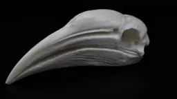 Hornbill 2.jpg