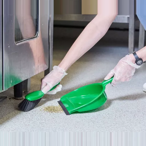 DUSTPANS