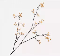 Screenshot 2026-01-28 at 11.27.13.png